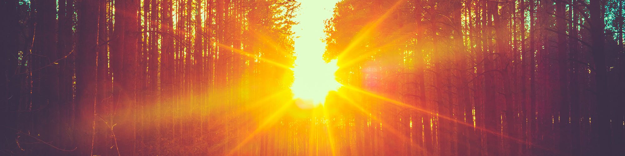 Light Therapy