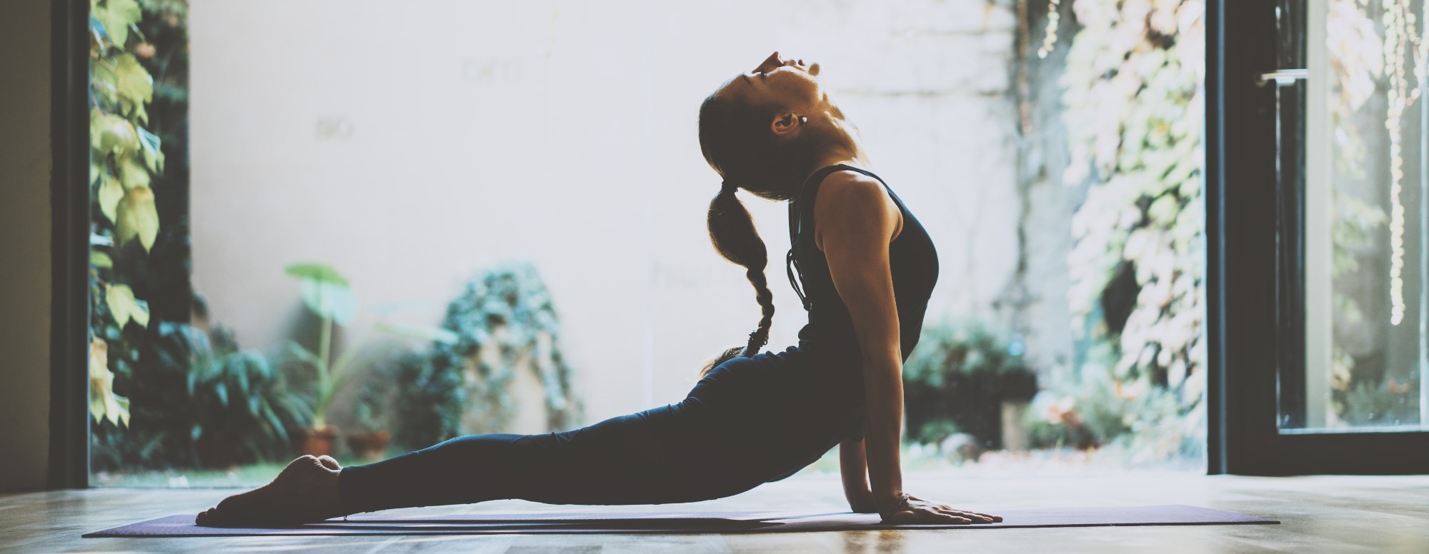 Body-Ology